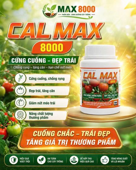 Phân bón CAL MAX Agri Amin
