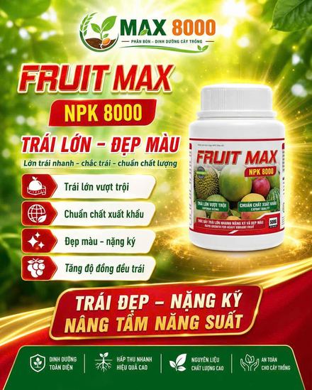 FRUIT MAX