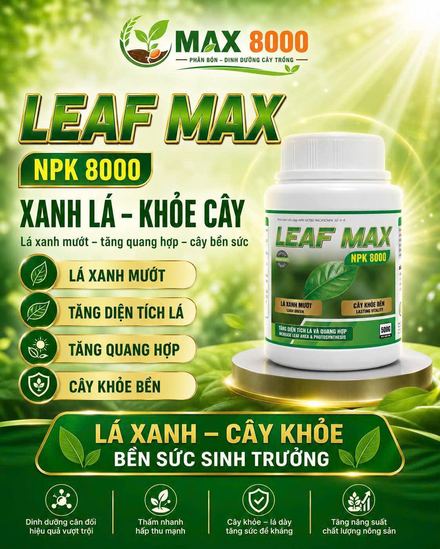 LEAF MAX