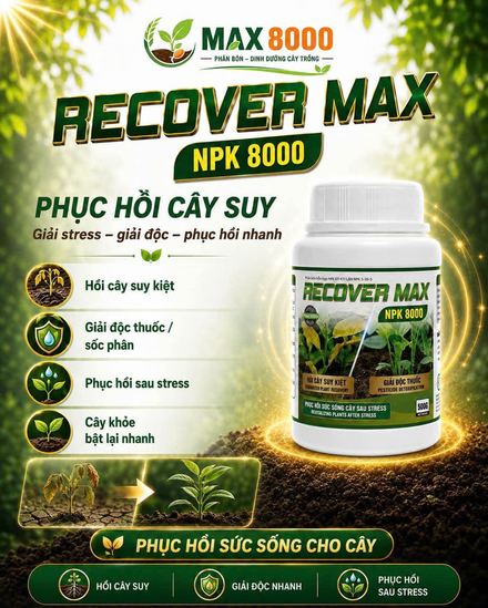RECOVER MAX
