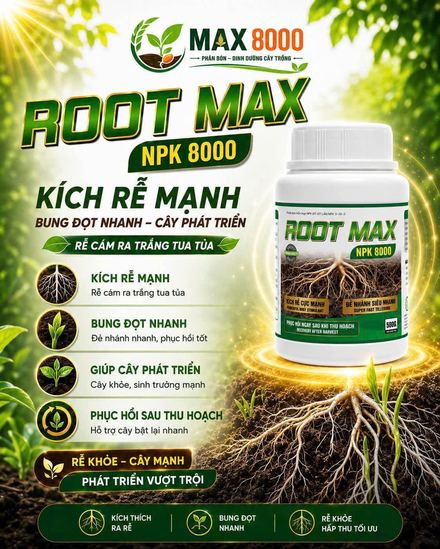 ROOT MAX