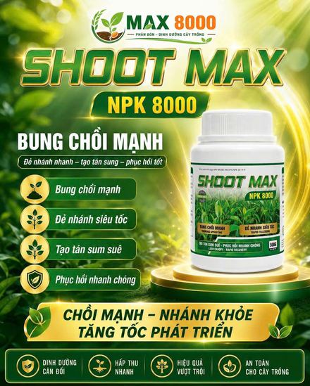 SHOOT MAX