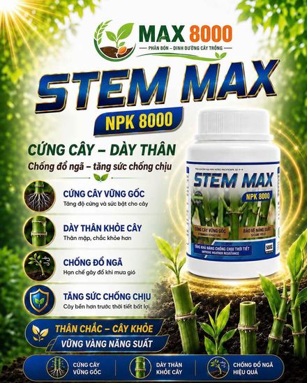 STEM MAX